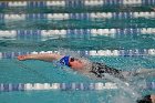 Swim vs Bentley  Wheaton College Swimming & Diving vs Bentley University. - Photo by Keith Nordstrom : Wheaton, Swimming & Diving